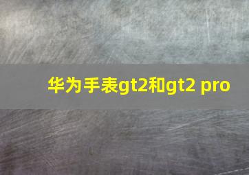 华为手表gt2和gt2 pro